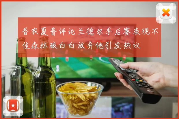 香农夏普评论兰德尔季后赛表现不佳森林狼白白放弃他引发热议
