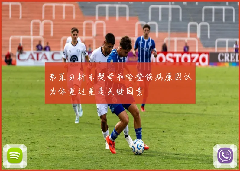 弗莱分析东契奇和哈登伤病原因认为体重过重是关键因素