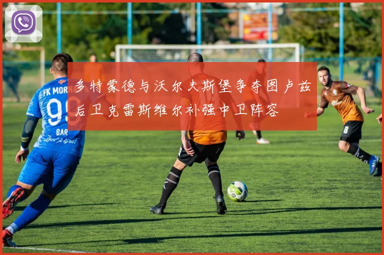 多特蒙德与沃尔夫斯堡争夺图卢兹后卫克雷斯维尔补强中卫阵容